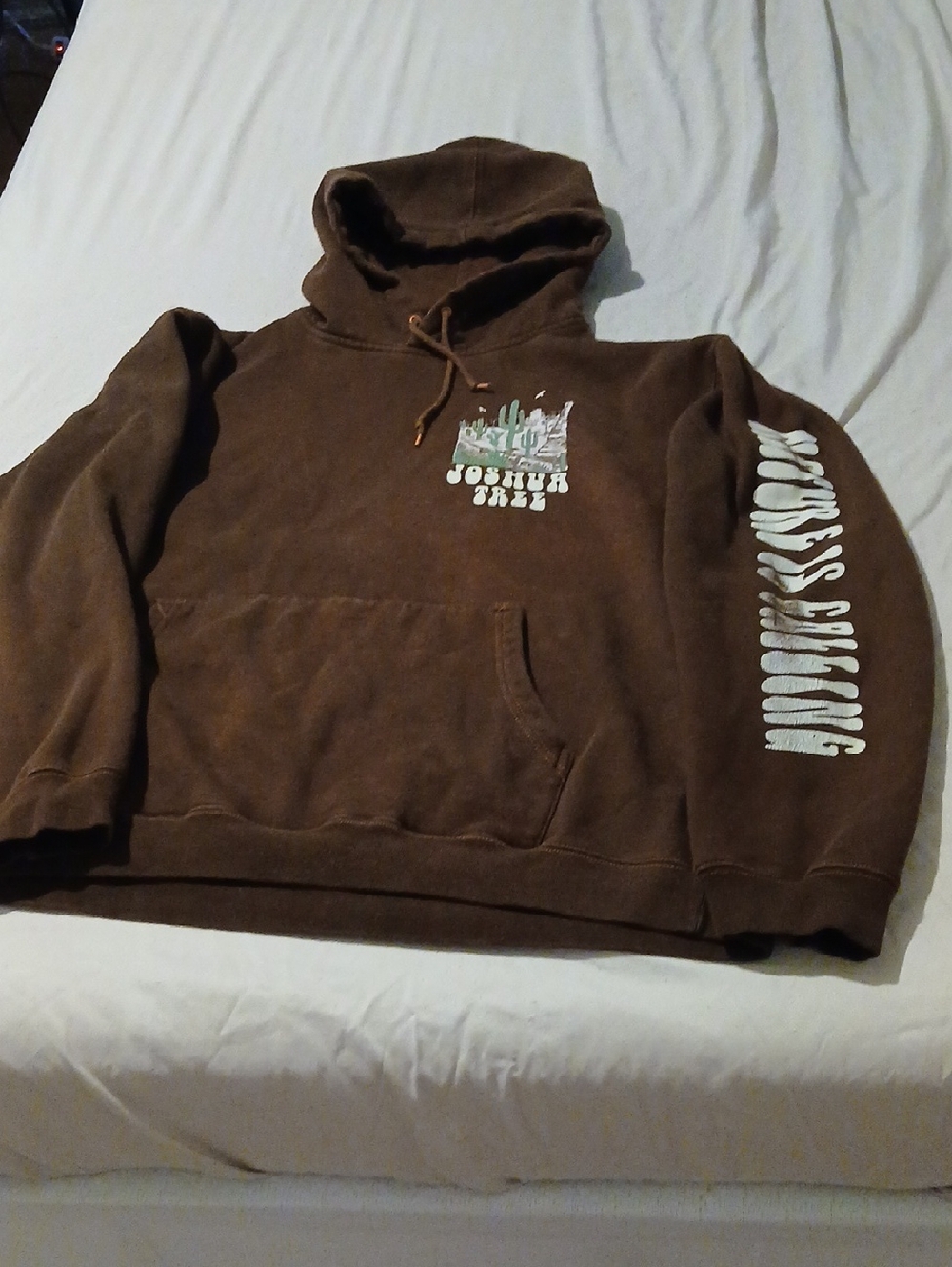 Source Unknown Brown Joshua Tree Graphic Hoodie with Sleeve Print